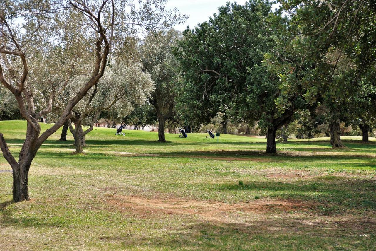 Chalet Adosado De Lujo Para 6 Personas En Golf Panoramica - Internet Fibra Gratis San Jorge  Buitenkant foto